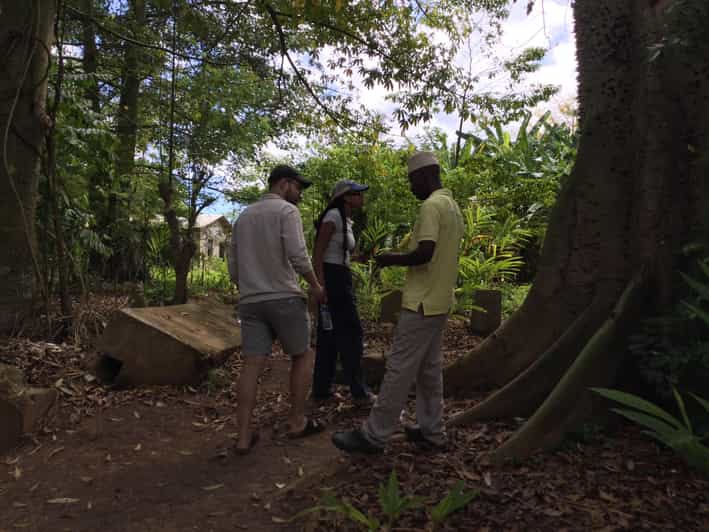 Zanzibar: A taste of Zanzibar Spice Tour | GetYourGuide