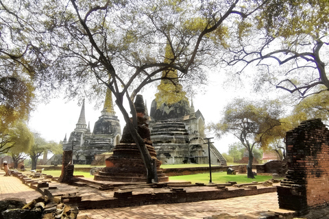 From Bangkok: Private Guided Ayutthaya Day Tour Guide+Ticket/ Wt Mahathat/ Wt PhraSri/ Elephant Vil/ Wt Chai