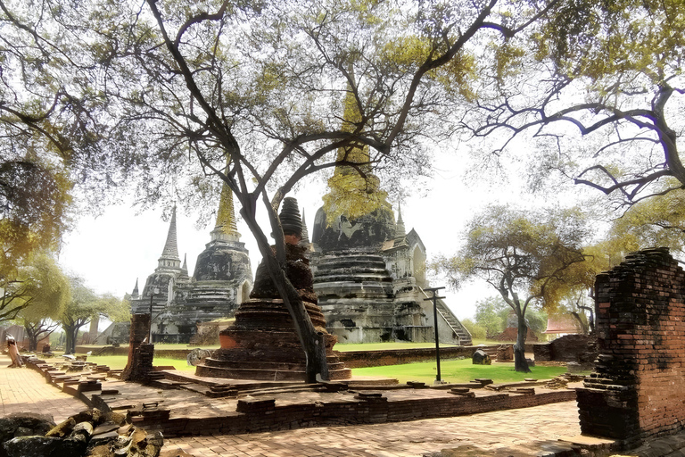 From Bangkok: Private Guided Ayutthaya Day Tour Guide+Ticket/ Wt Mahathat/ Wt PhraSri/ Elephant Vil/ Wt Chai