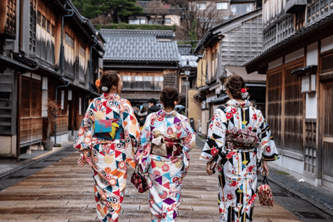 Depuis Osaka/Kyoto : Excursion d&#039;une journée à Shirakawa-go, TakaYama et Kanazawa