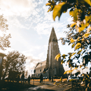Reykjavik: City Highlights Guided Tour