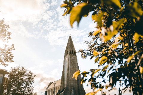 Reykjavik: visita guiada aos pontos turísticos da cidadeReykjavik: Visita guiada aos pontos turísticos da cidade