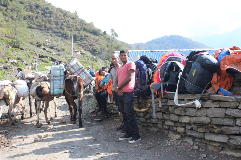 from Pokhara: 7-Day Annapurna Base Camp Trek