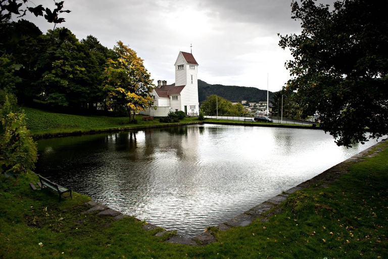 Bergen in Tesla: dall&#039;età del ferro alla vita modernaTour di 3 ore