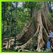 Cat Tien National Park Expedition with Cycling & Trekking