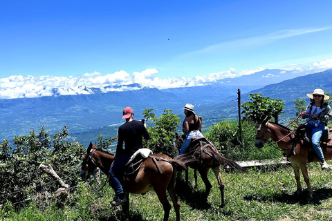 Medellín: Hacienda Adrenalina Paragliding, ATV Tour & Horses