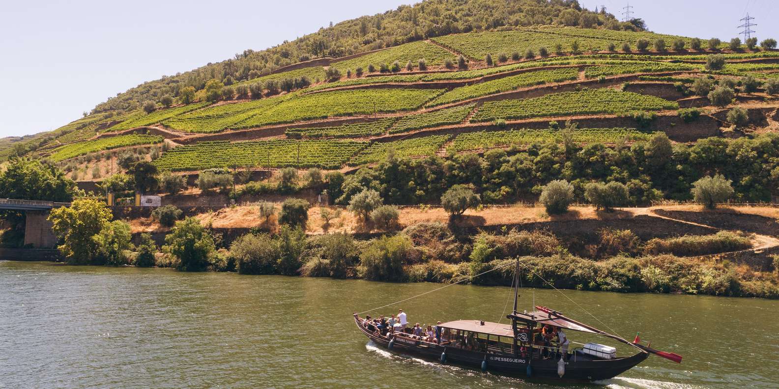 Douro Valley Small Group: 2 Wineries, Lunch & River Cruise