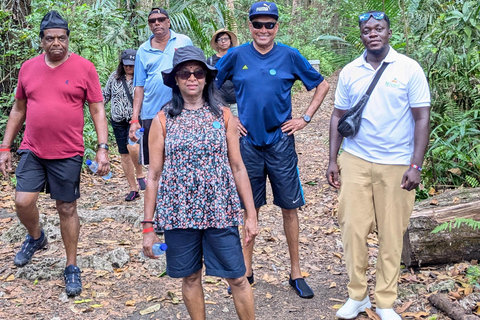Roter Colobus-Affe &amp; Mangroven im Jozan-Wald Gruppentour 5+