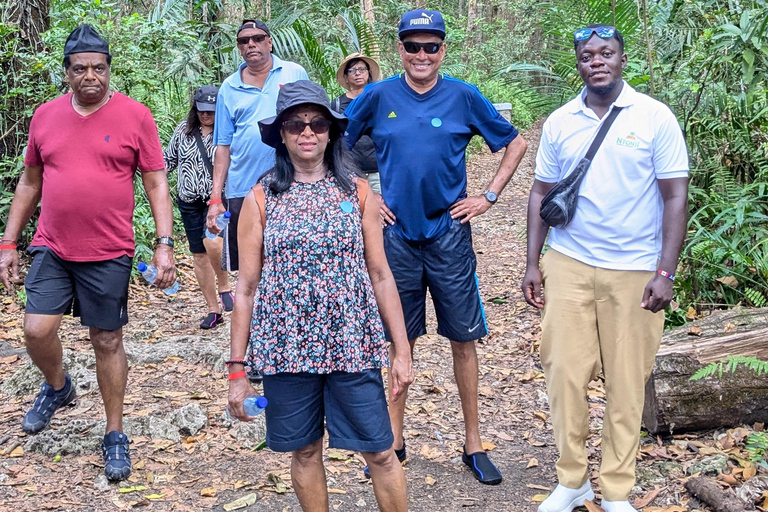 Roter Colobus-Affe &amp; Mangroven im Jozan-Wald Gruppentour 5+
