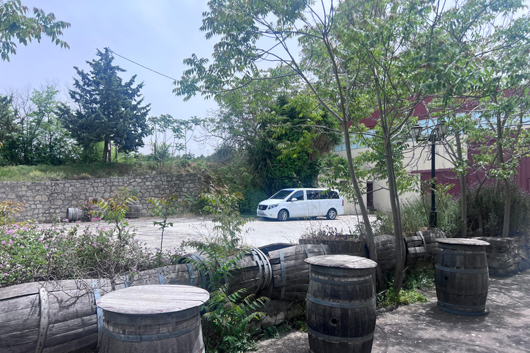 Crete Olive oil tasting ,wine, raki, and cretan food!