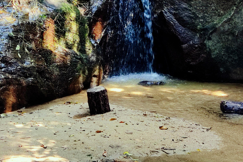 Rio de Janeiro: Tijuca Caves Guided Hike with Park Entry