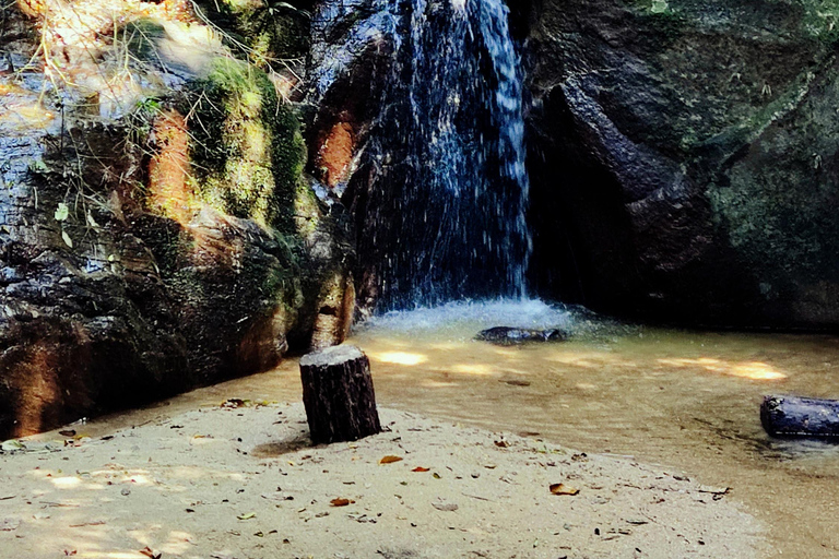 Rio de Janeiro: Tijuca Caves Guided Hike with Park Entry