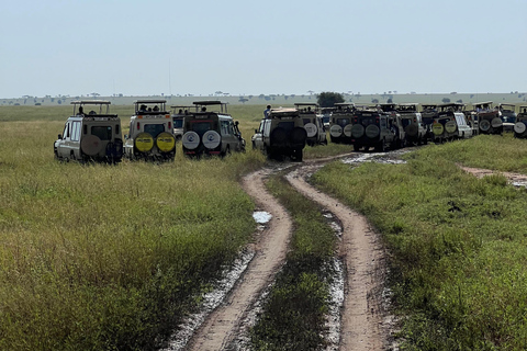 Von Sansibar aus: 3 Tage Flugsafari zur Serengeti und zum Ngorongoro