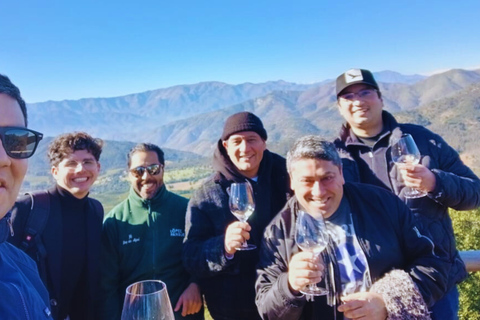Curacaví Valley: Private Wine Tour of Viña Lopez Pangue and El Cuadro Curacaví Valley: Private Wine Route Tour - Viña Lopez Pangue and El Cuadro