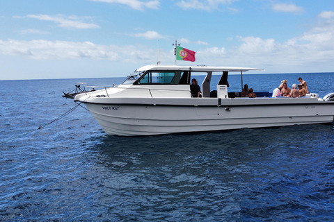Calheta: Private Catamaran Tour - With Open Bar & Snacks Sunset Tour with Snorkeling & Paddleboarding/ Max 18 people