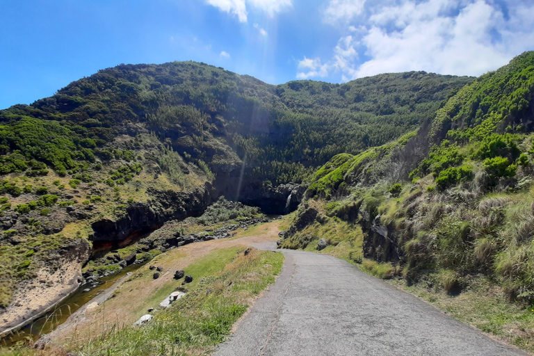 São Miguel: Moinho do Felix-Wanderung mit Besuch der Teefabrik