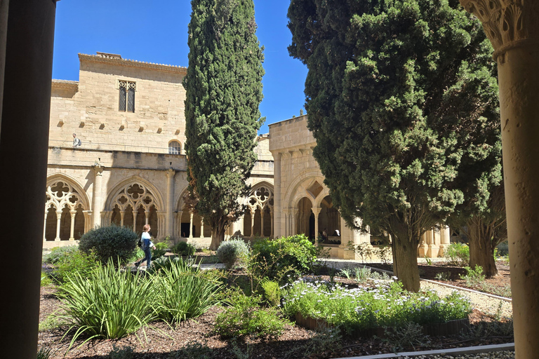 Cistercian Route Monasteries & Wine Tour