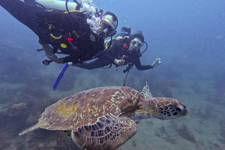 Tayrona National Park: Beginner Diving with Expert Tour Guides Tayrona National Park: Beginner Diving With Expert Tour Guides