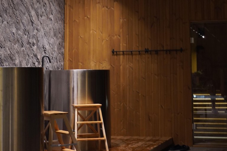 Finnish Sauna and Cold Plunge Experience in Belgrade
