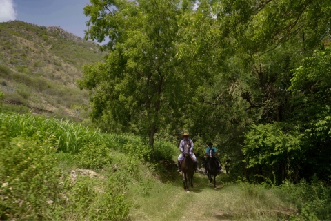 Strode Marwari Equestrian Experience: Stud Farm+Horse Riding