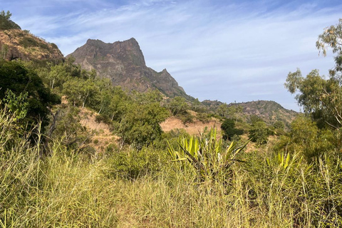 Rui Vaz Scenic Hike and Botanical Garden Stop