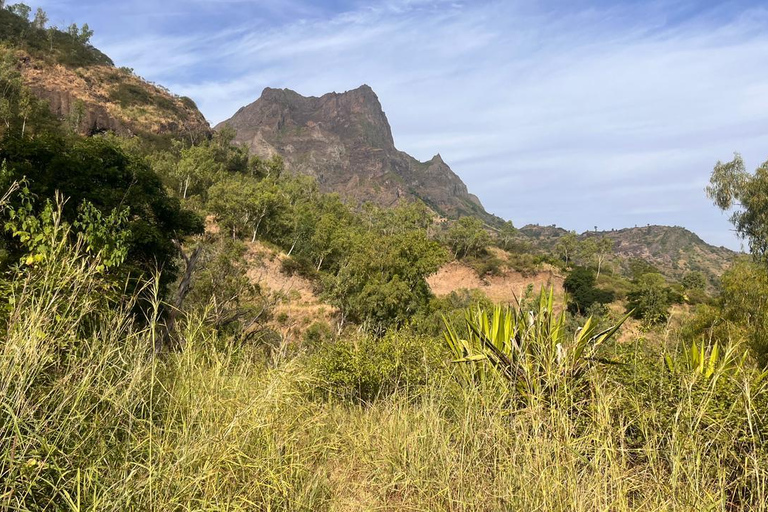 Rui Vaz Scenic Hike and Botanical Garden Stop
