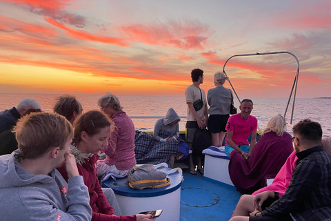 Paphos: Turtle Watching Cruise,Snorkelling Adventure &Sunset