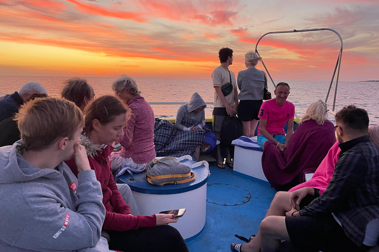 Paphos: Turtle Watching Cruise,Snorkelling Adventure &Sunset