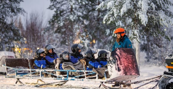Rovaniemi: Scenic Sleighride