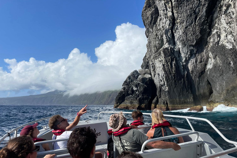 Isola di Faial: Tour unico in barca al vulcano Capelinhos