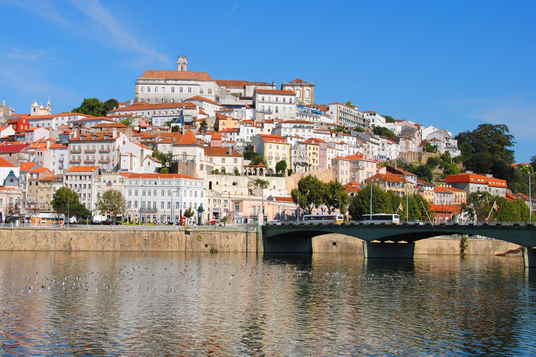 Porto to Lisbon with Aveiro-Coimbra-Fátima-Nazaré-Óbidos 3 STOPS