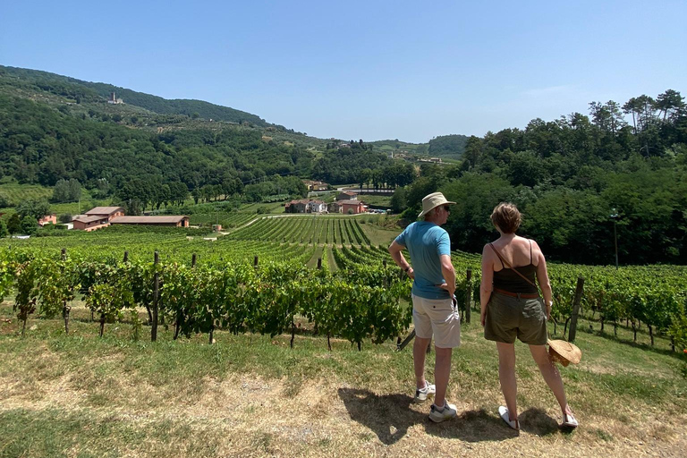 Tour de vinhos da Toscana de ônibus saindo de Lucca