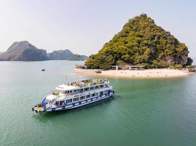 Ha Long: Half Day Cruise with Lunch, Kayaking, and Swimming