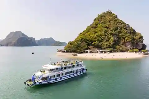 Ha Long: Crucero de medio día con almuerzo, kayak y natación