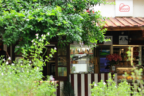 Nagano: Snow Monkey Park Full-Day Guided Private Tour Nagano: Snow Monkey Park Full-Day Guided Tour in Lexus