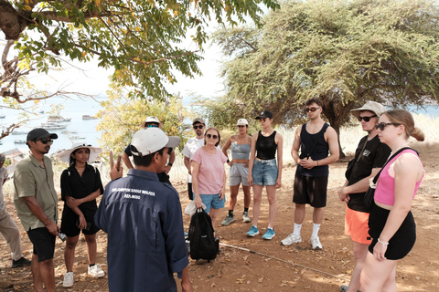 From Labuan Bajo: Komodo National Park 3-Day Liveaboard