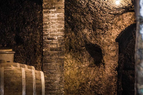 Frascati Wine Road z Rzymu: degustacja i obiad