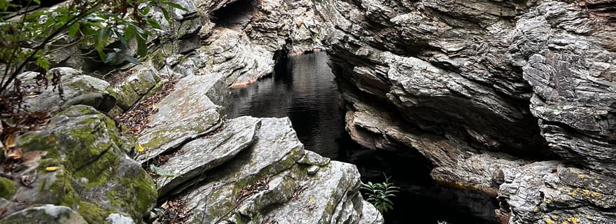 La nature sauvage : Excursion complète dans les canyons