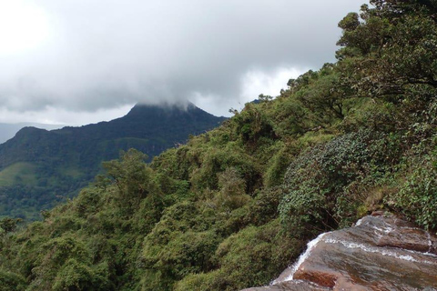 From Kandy: Knuckles Mountain Range Exploration Day Tour