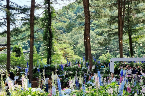 Seoul: Nami Island, Garden of Morning Calm, & Railbike Tour