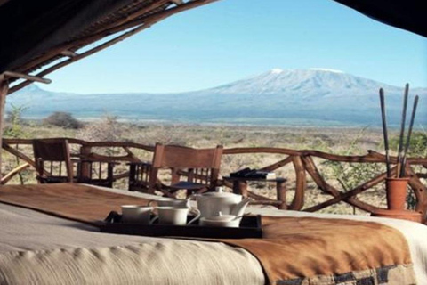 Mombasa: 5-Day Safari- Amboseli, SaltLick, Ziwani & Ngutuni