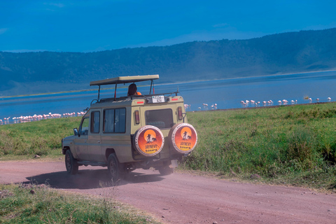 أروشا: رحلة سفاري لمشاهدة الطيور لمدة 3 أيام مع الإقامة والوجبات