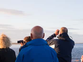 Kleine Kranichtour mit MS Swantevit ab Zingst