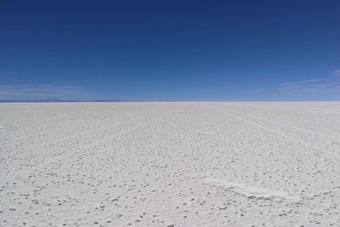 Halvdagsutflykt till Uyuni Salt Flats inklusive solnedgång