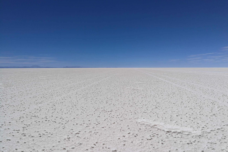 Halvdagsutflykt till Uyuni Salt Flats inklusive solnedgång