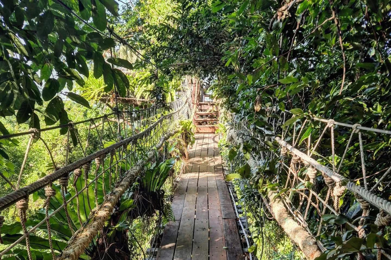 Samui Zipline FLY & Fun Tree Bridge Jungle Cafe & Waterfall