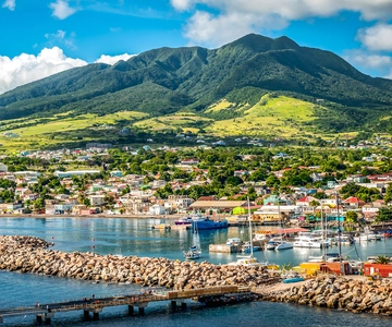 St. Kitts: Top Sights Guided Van or Open-Air Safari Tour