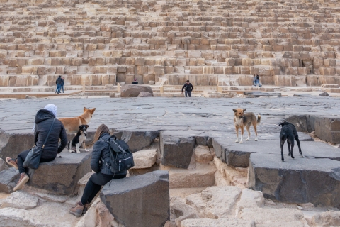 Vom Hafen in Alexandria: Tour zu den Pyramiden, der Zitadelle und dem BasarHafen von Alexandria: Pyramiden, Zitadelle & Basar Spanisch