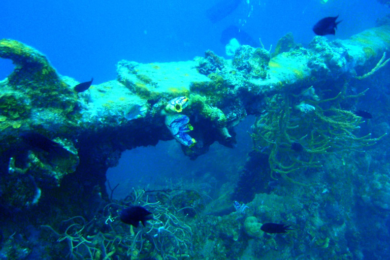 Coron Reef and Wrecks Tour (wycieczka prywatna)