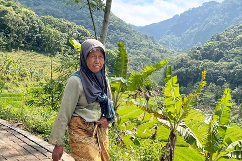 Selogriyo Temple and Java Rice Terrace Guided Trekking Tour Selogriyo Temple Java Rice Terrace Guided Trekking Tour